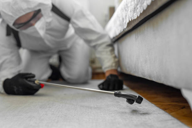Professional Cockroach Control technician working in Coral Terrace, FL