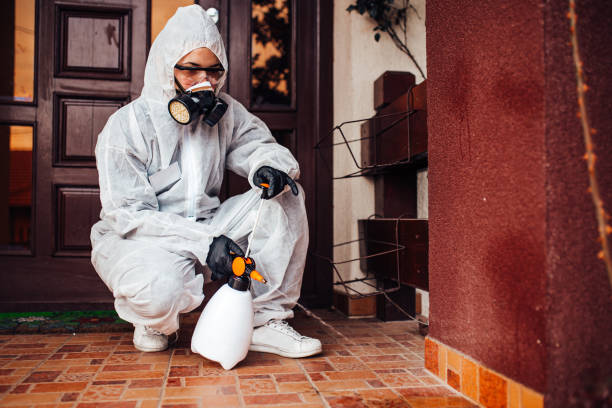 Reliable Cockroach Control contractor in Coral Terrace, FL by Nex Pest Control