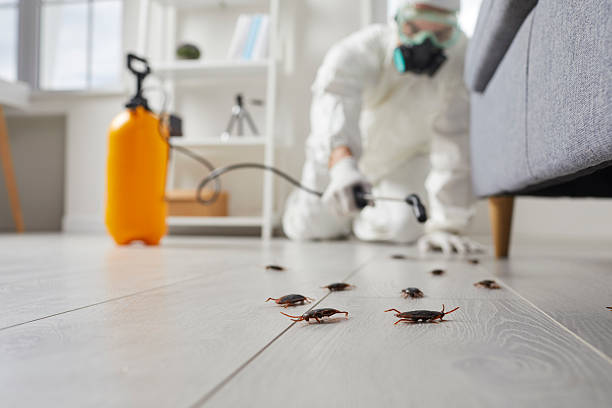 Affordable Cockroach Control solutions in Coral Terrace, FL